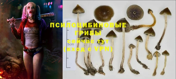 стафф Армянск