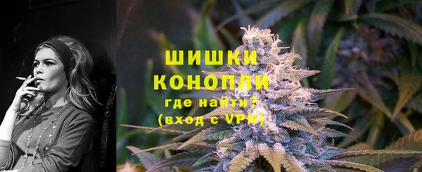 прущие грибы Усмань
